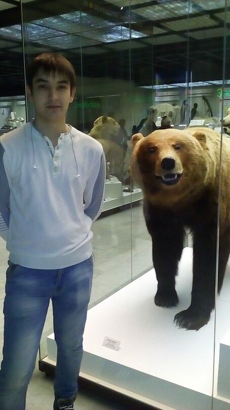 ���������� ������, ���� ������� ����, 36 ���, ������������ ��� ������, ����� � ���������, c�������� ���������