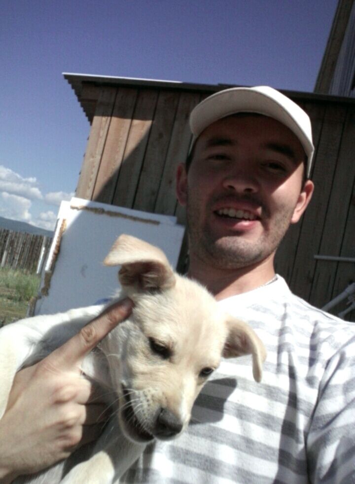  ,   , 36 ,   ,   , 