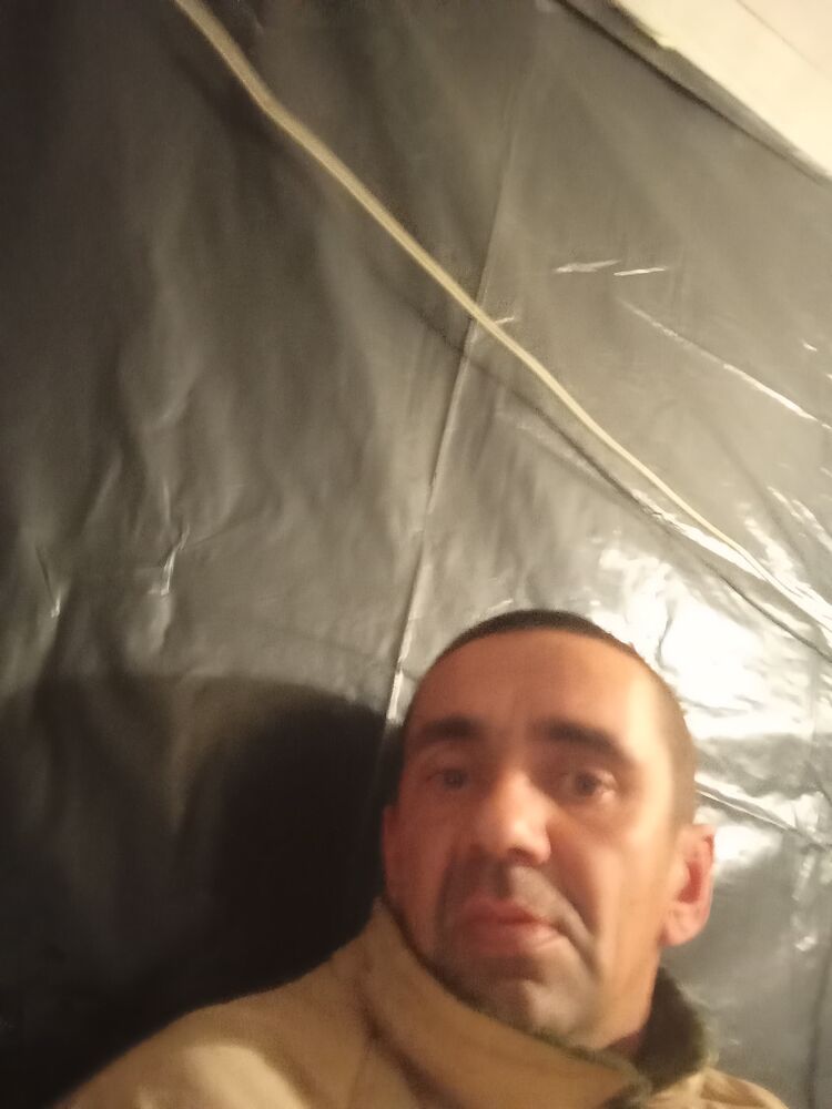  39134232  , 40 ,    