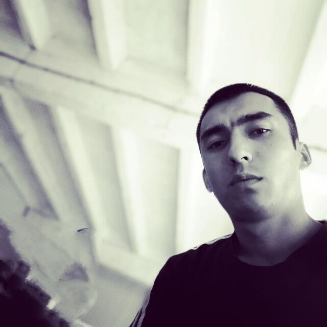  33875122  , 31 ,    