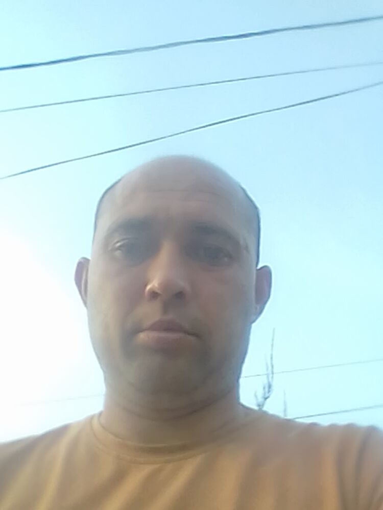  23870372  , 38 ,    