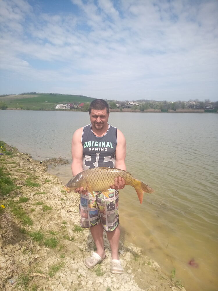 ���������� �������, ���� ������� �����, 43 ����, ������������ ��� ������, ����� � ���������, c�������� ���������