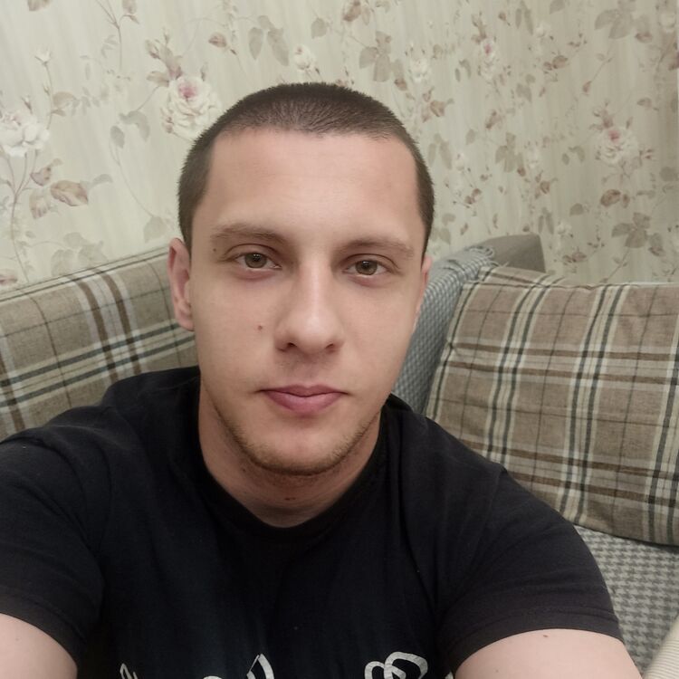  26341462  , 28 ,    