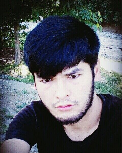 ���������� �����-���������, ���� ������� Anzor, 31 ���, ������������ 