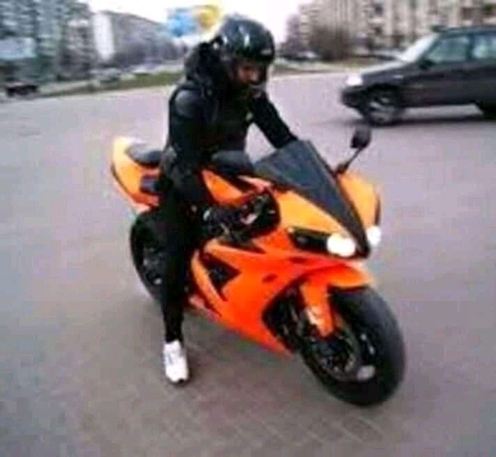  15720032  , 28 ,    