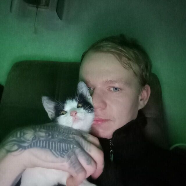 ���� 55688172 ������� �������, 26 ���, ���� ���������� � ��������