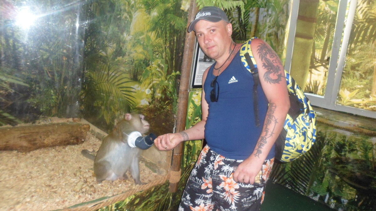  ,   , 44 ,   