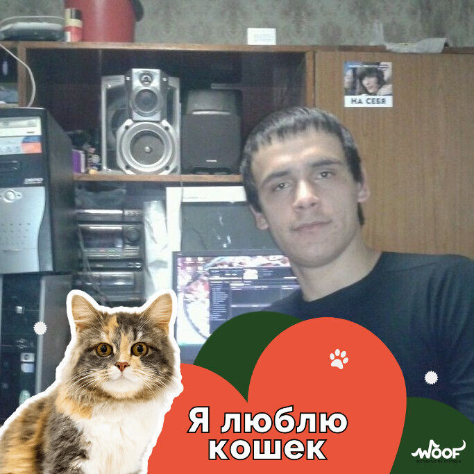 ���� 39672752 ������� ����, 38 ���, ���� ���������� � ��������