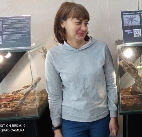  ,   , 41 ,   