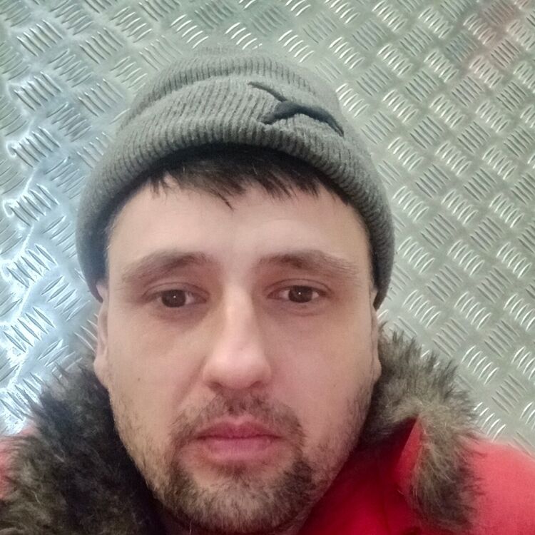 ���� 43095282 ������� �������, 36 ���, ���� ���������� � ������