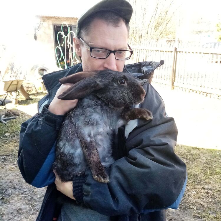 ���������� ������, ���� ������� �������, 51 ���, ������������ ��� ������, ����� � ���������