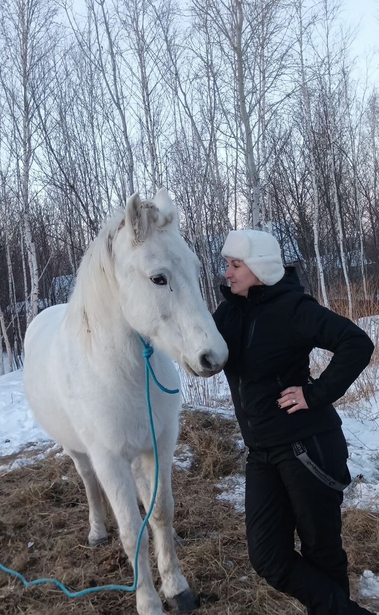 ���������� ���������, ���� ������� �����, 40 ���, ������������ ��� ���������