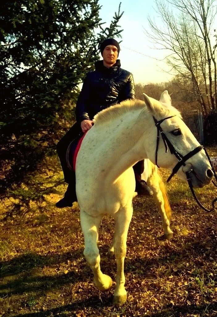 ���������� �������, ���� ������� Sania, 39 ���, ������������ 