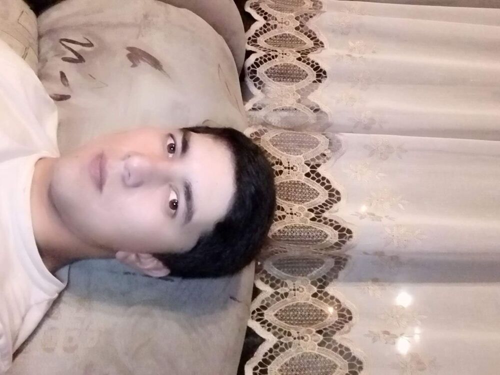  33678222  , 28 ,    