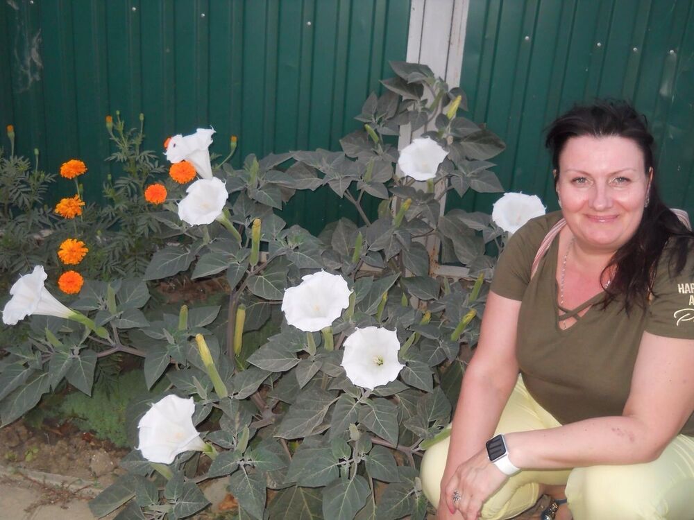  ,   , 54 ,  