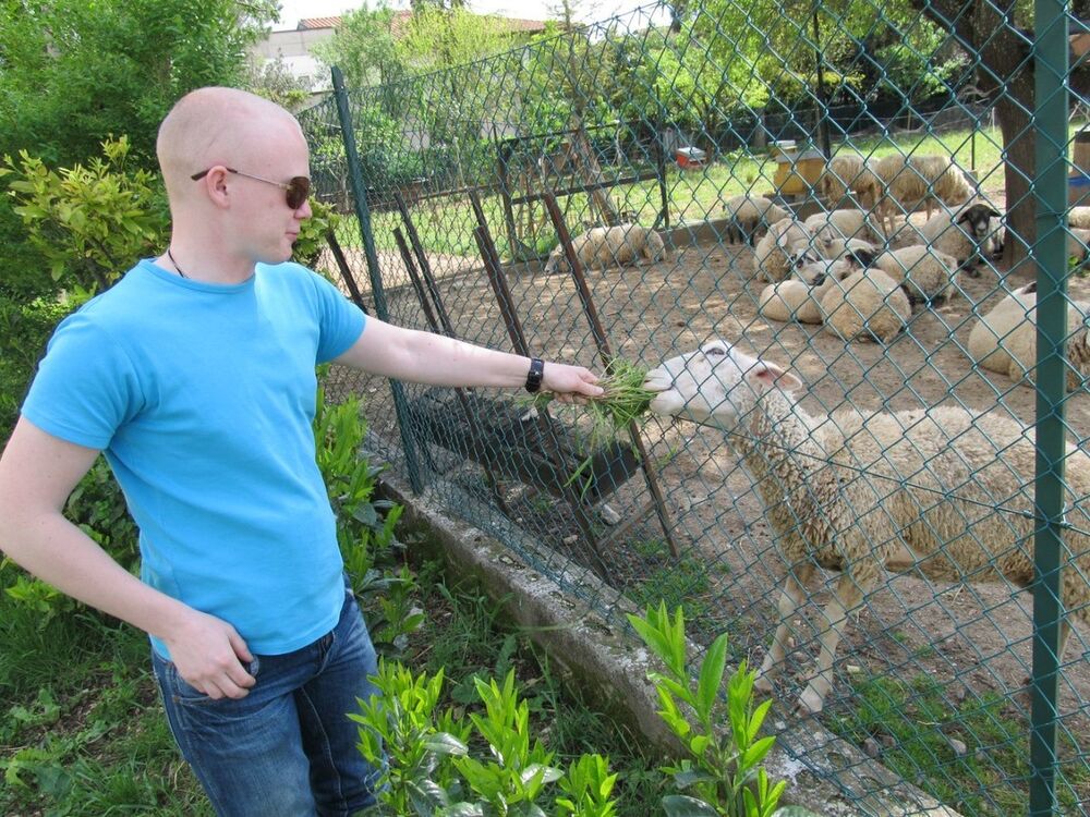 ���������� ������, ���� ������� �����, 35 ���, ������������ 