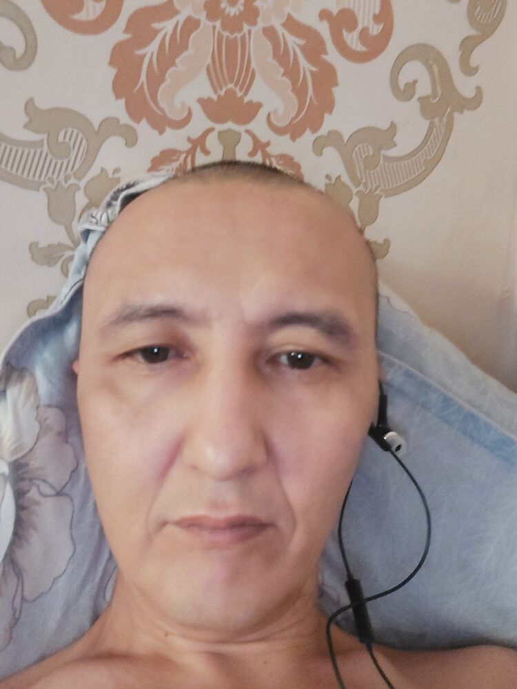  23779202  , 44 ,    