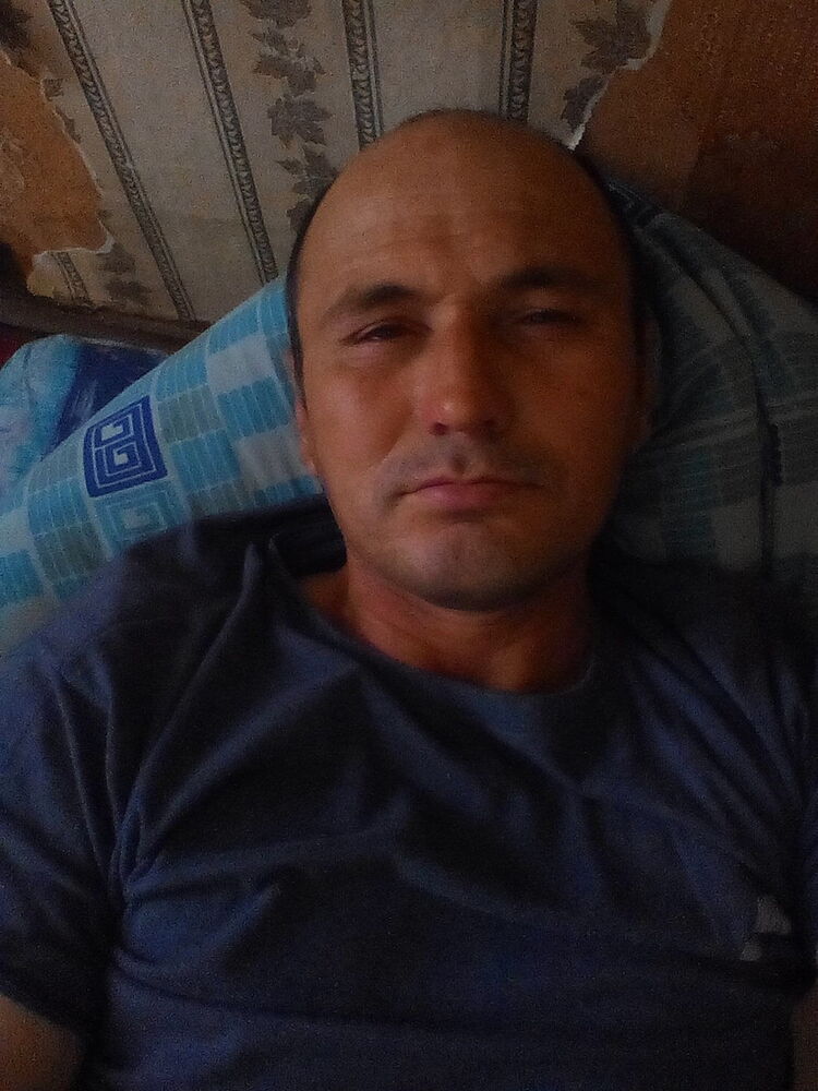  12482482  , 53 ,    