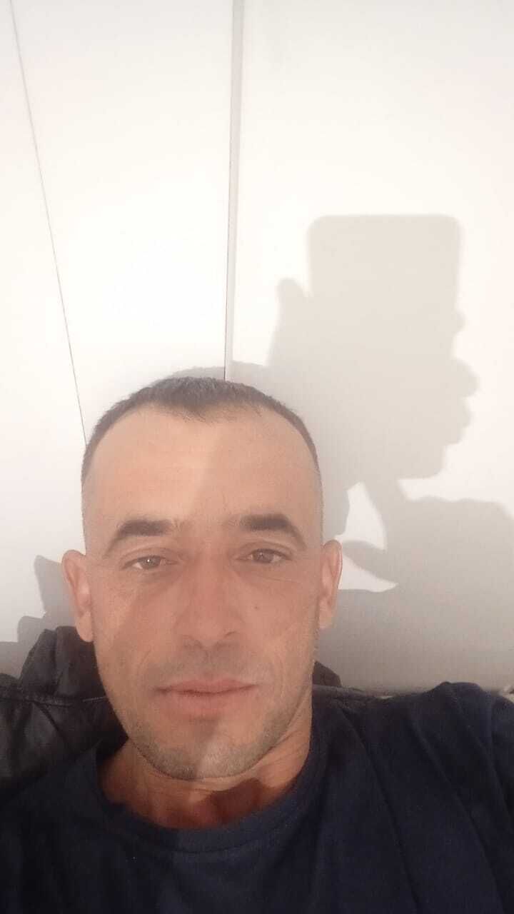  29913102  , 44 ,    