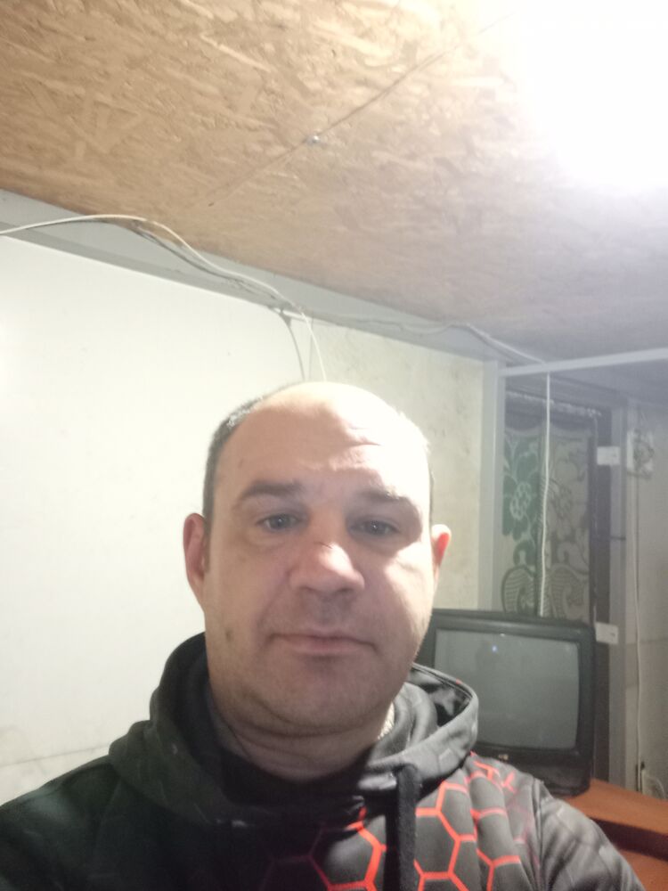 ���� 54804002 ������� ����, 40 ���, ���� ���������� � ���������