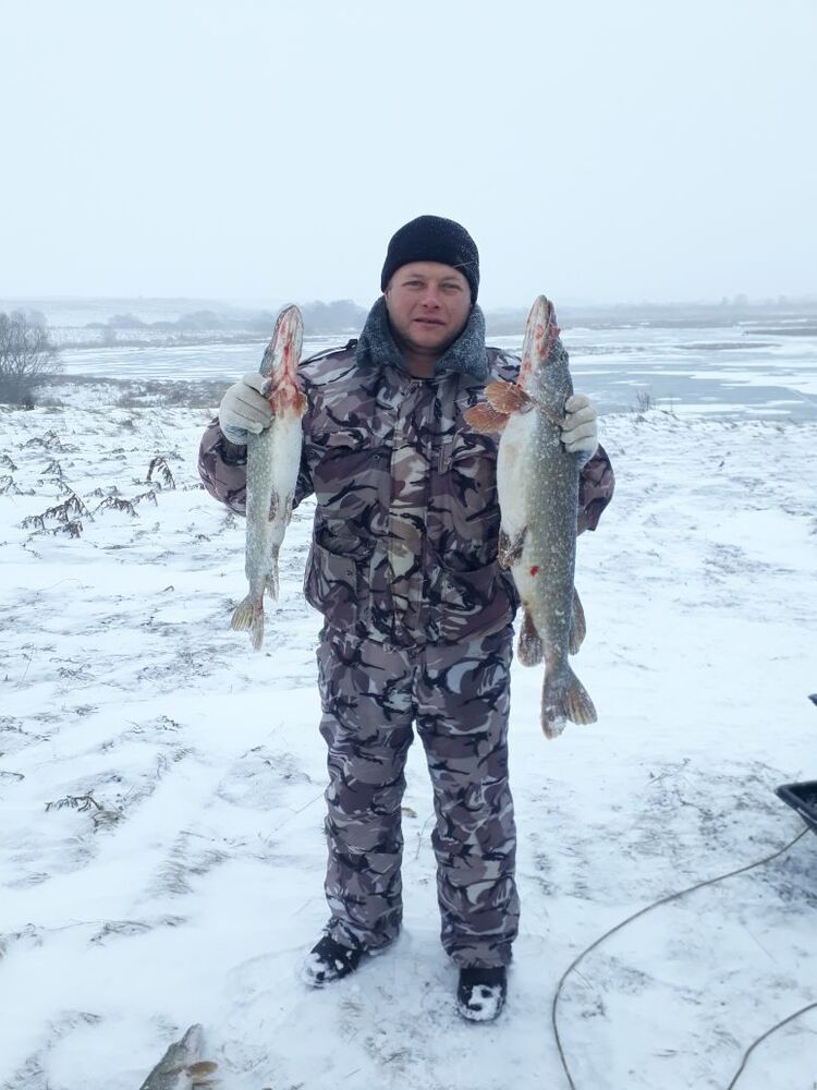 ���������� ������, ���� ������� �������, 46 ���, ������������ ��� ������, ����� � ���������, c�������� ���������, ���������