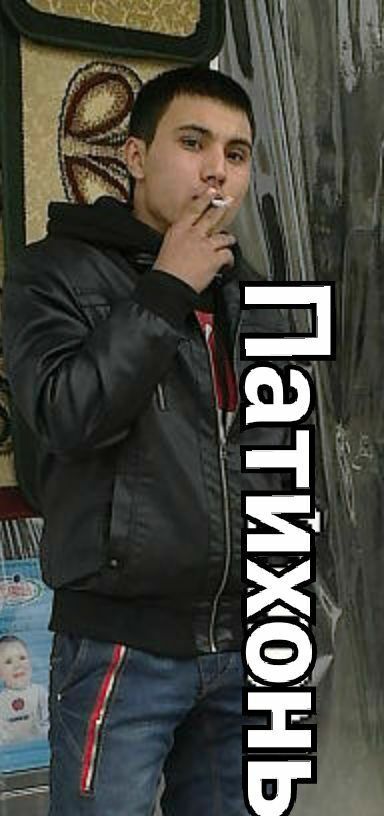 ���� 31111902 ������� Temur, 33 ����, ���� ���������� � ������