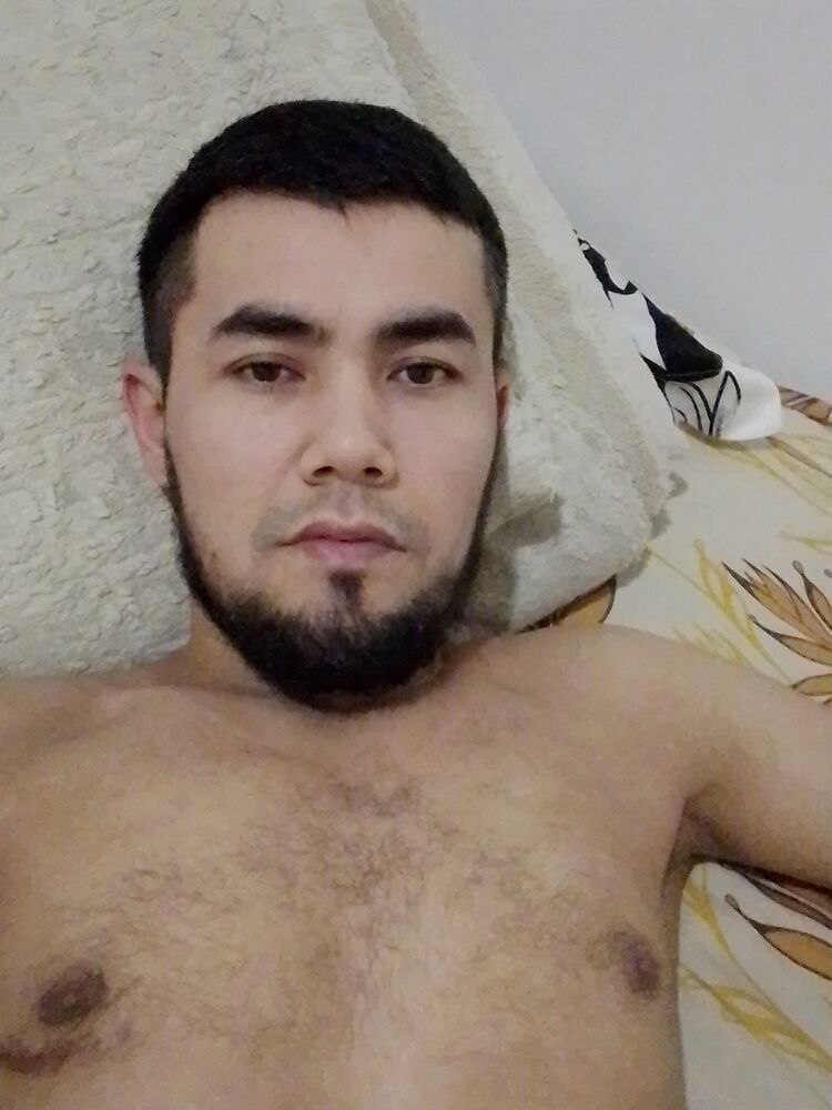  31585132   , 33 ,    