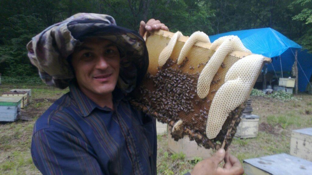  ,   , 54 ,   