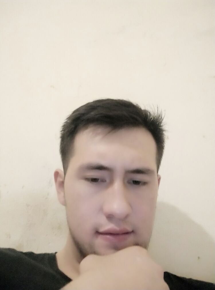  49237132  , 23 ,    -