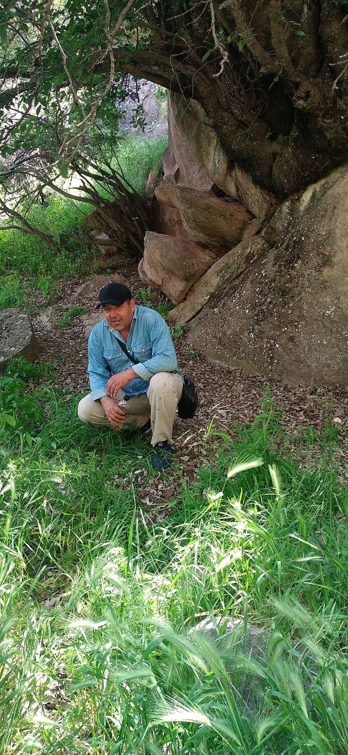  ,   , 41 ,   ,   , c 