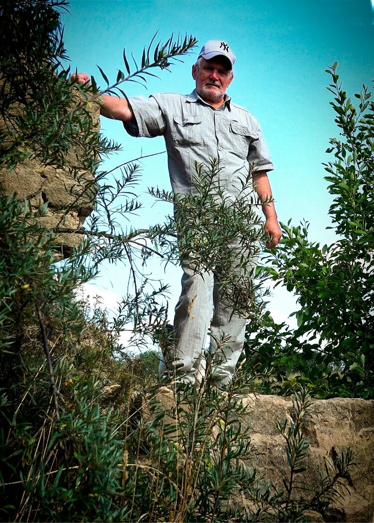 ���� 55699582 ������� �����, 74 ����, ���� ���������� � �����