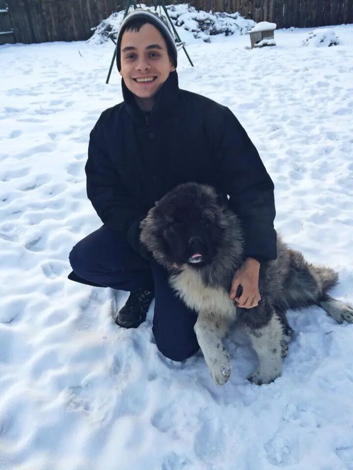 ���� 25270312 ������� ����, 33 ����, ���� ���������� � �����������