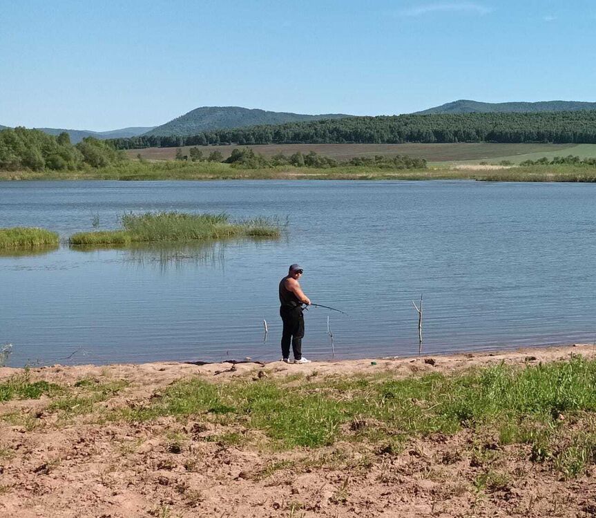 ���������� ������, ���� ������� �������, 36 ���, ������������ ��� ������, ����� � ���������, c�������� ���������