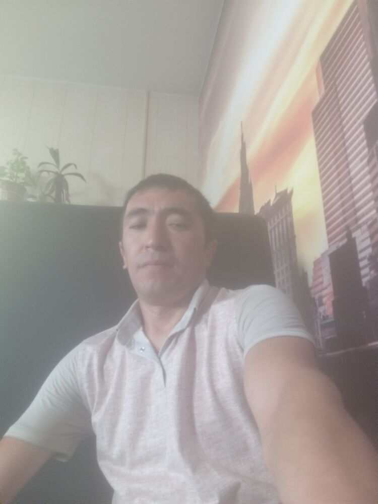  45161802  , 36 ,    