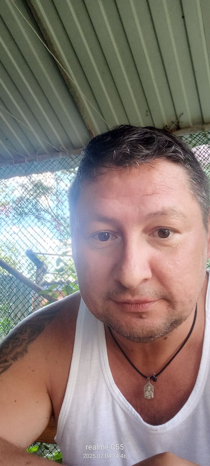  53981622  , 40 ,    -