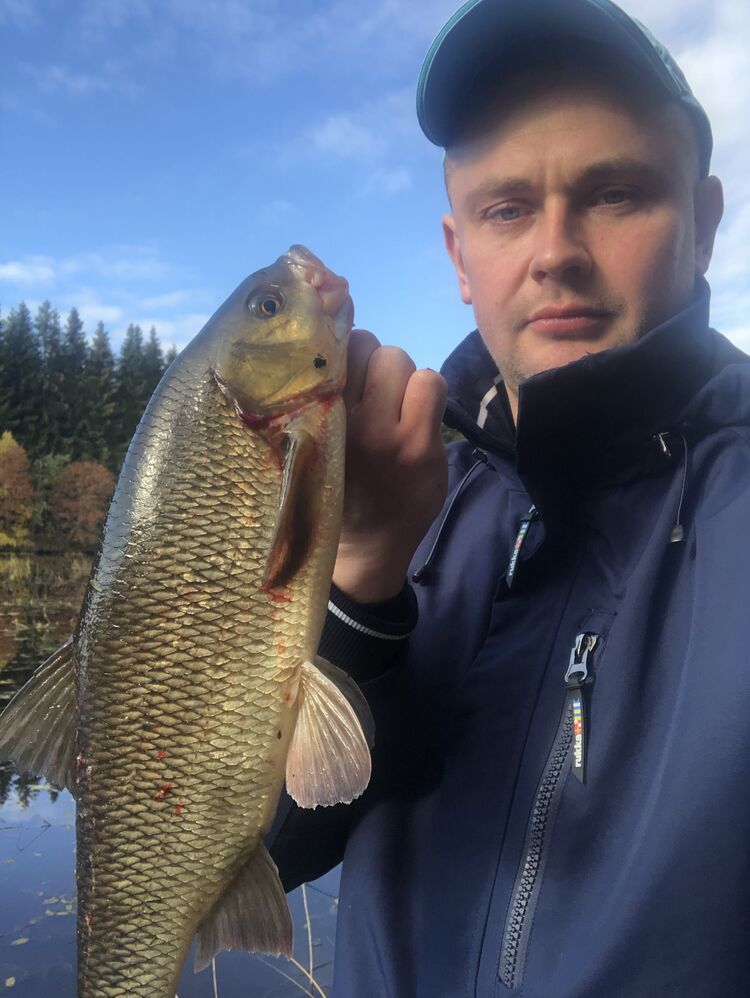  Seinajoki,   Ivan, 33 ,   ,   , c , 