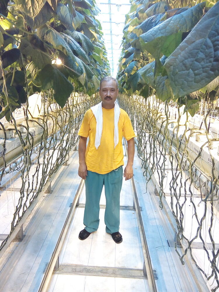  -,   , 50 ,  