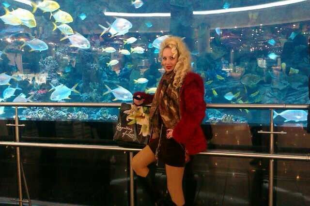 ���������� ����, ���� ������� ����, 36 ���, ������������ ��� ������