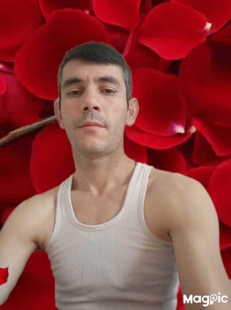  33429382  , 38 ,    