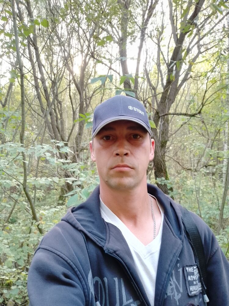 ���� 38062782 ������� �������, 38 ���, ���� ���������� � ��������