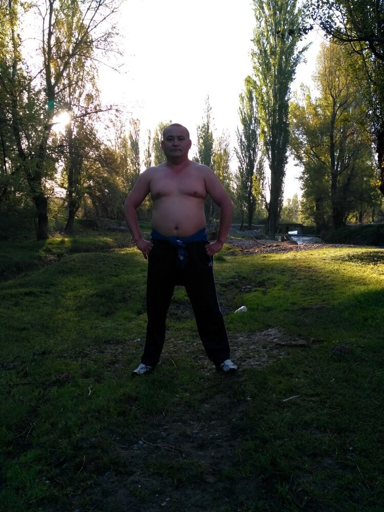  12450482  , 49 ,    
