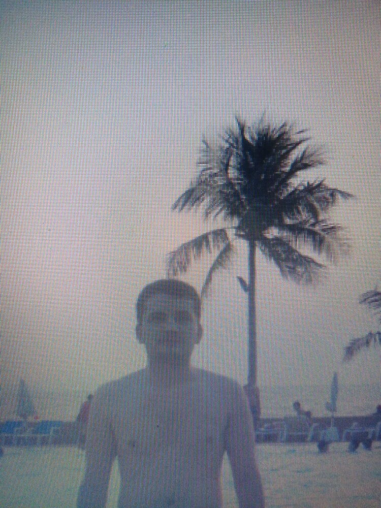 ���� 29317392 ������� ����, 40 ���, ���� ���������� � �����������