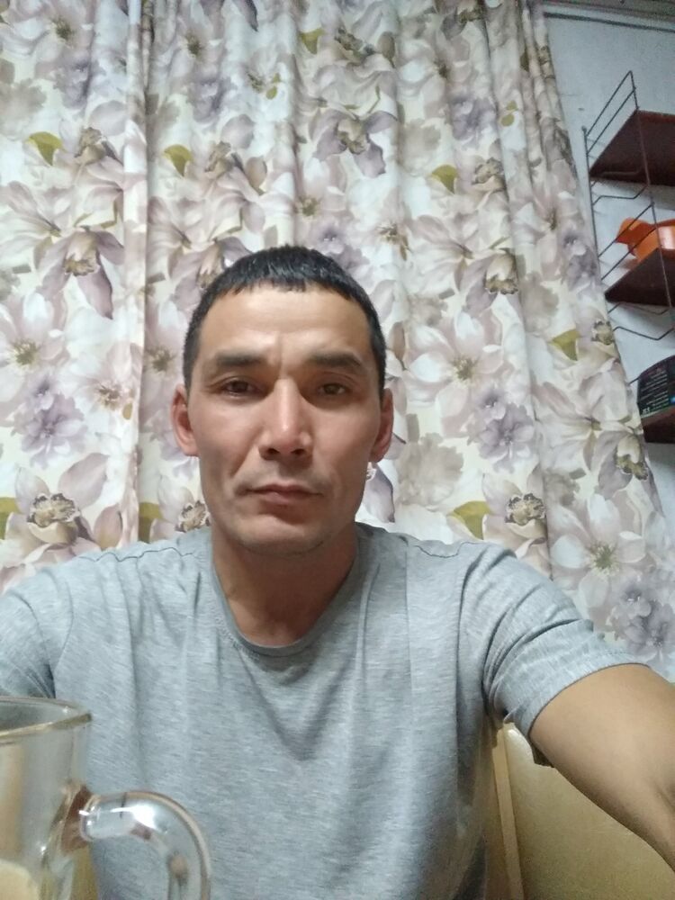  42911562  , 41 ,    