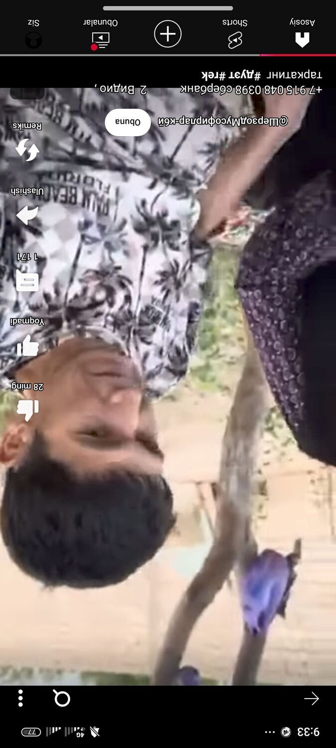  -,   , 35 ,   ,   