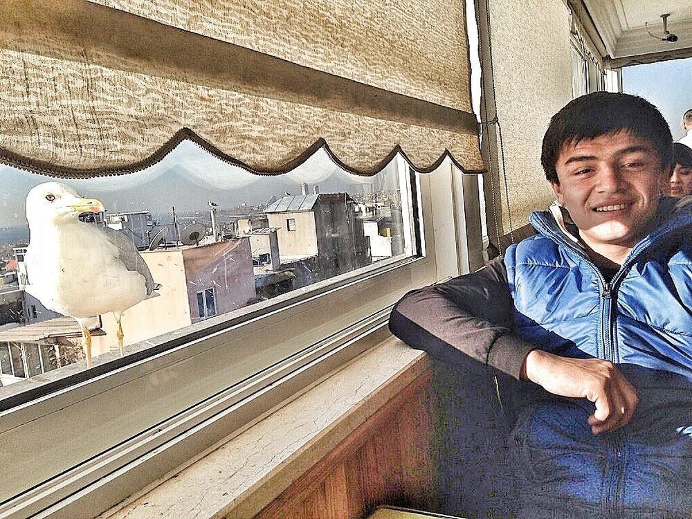  4705202  Magamed, 32 ,    