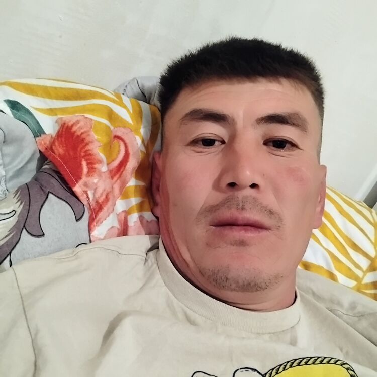  54441172  , 40 ,    -