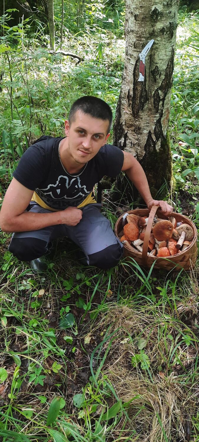 ���� 56027232 ������� ������, 36 ���, ���� ���������� � �����-����������