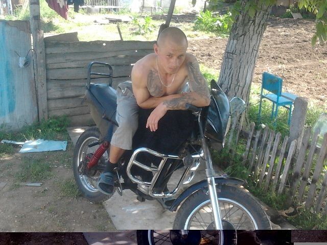 7442282  , 43 ,    