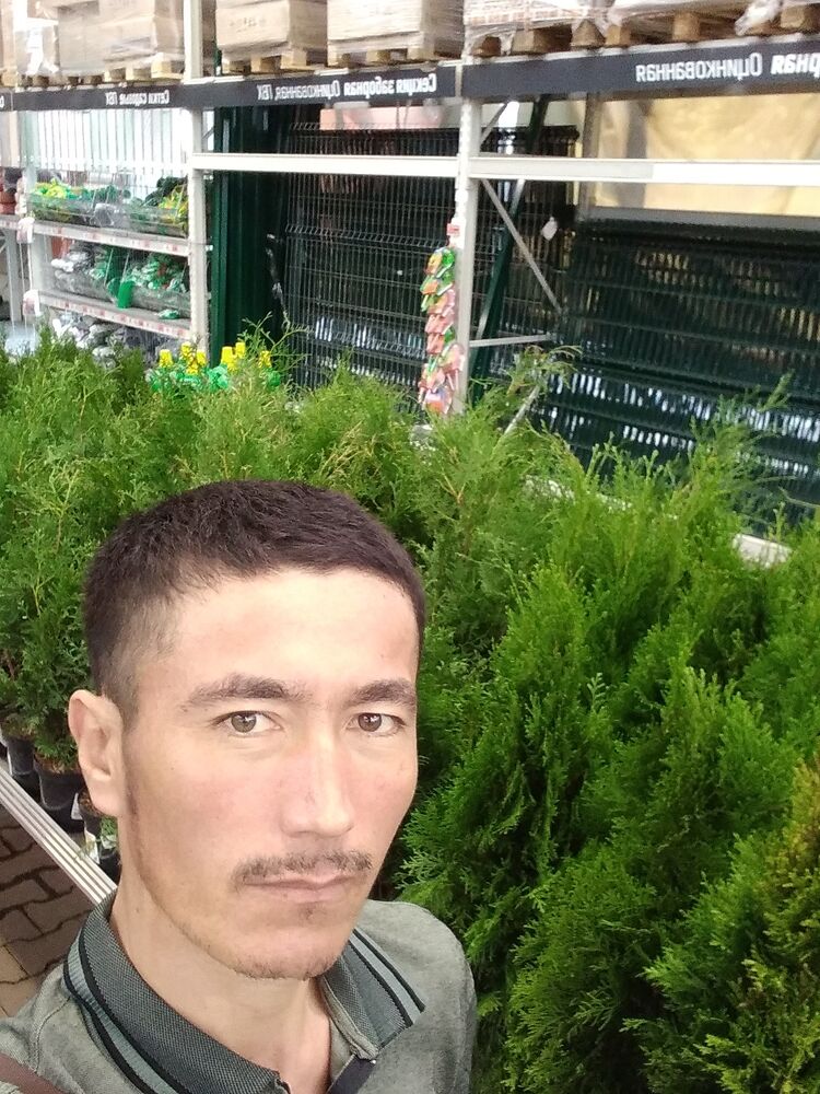  29623882  , 36 ,    -