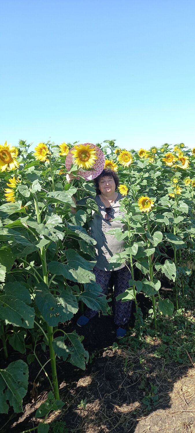 ���������� deleted, ���� ������� Rimma, 55 ���, ������������ ��� ������, ����� � ���������